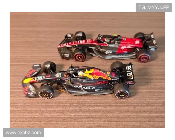 维斯塔潘中国站意外退赛惋惜